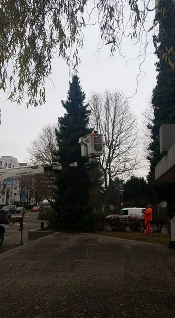 2016-12-09_Weihnachtsbaum