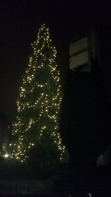 2016-12-20_Weihnachtsbaum